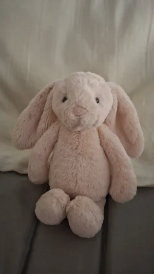 A photo of Bashful Pink Bunny - Small Jellycat taken by Marit_05