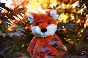 Bashful Fox - Medium Jellycat photo