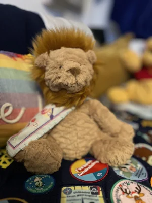 Fuddlewuddle Lion - Medium Jellycat photo uploaded by Megan_Daffodil