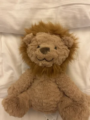 Fuddlewuddle Lion - Medium Jellycat photo