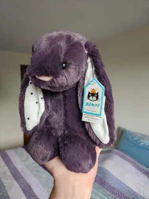 Bashful Dotty Spot Bunny Jellycat | Jelly Journal