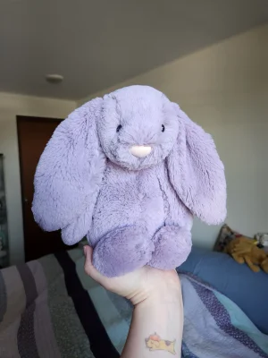 Bashful Plum Bunny 1st Edition - Medium Jellycat photo