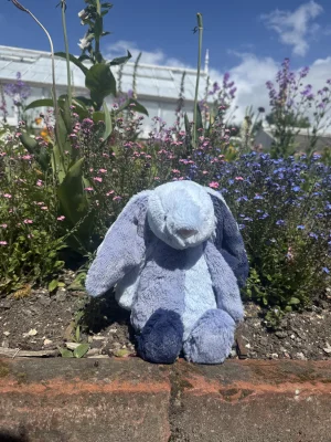 Puddlesea Bunny Jellycat photo
