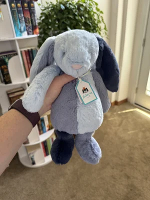 Puddlesea Bunny Jellycat | Jelly Journal