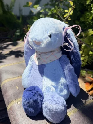 Puddlesea Bunny Jellycat | Jelly Journal
