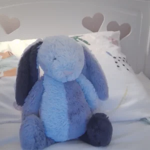 Puddlesea Bunny Jellycat | Jelly Journal
