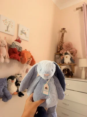 Puddlesea Bunny Jellycat | Jelly Journal