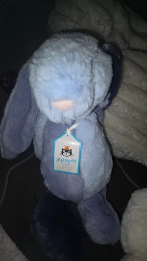 Puddlesea Bunny Jellycat photo