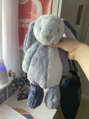 Puddlesea Bunny Jellycat | Jelly Journal