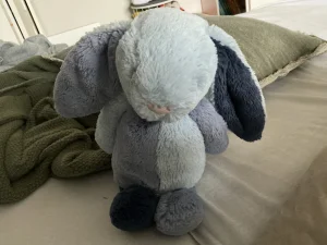 Puddlesea Bunny Jellycat photo