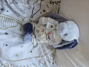 Puddlesea Bunny Jellycat | Jelly Journal