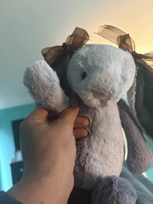 Puddlesea Bunny Jellycat | Jelly Journal