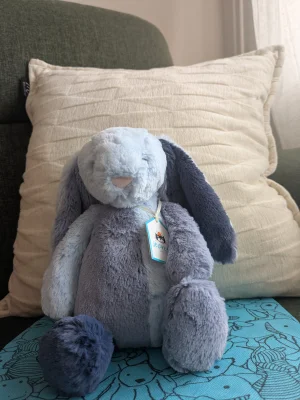 Puddlesea Bunny Jellycat | Jelly Journal