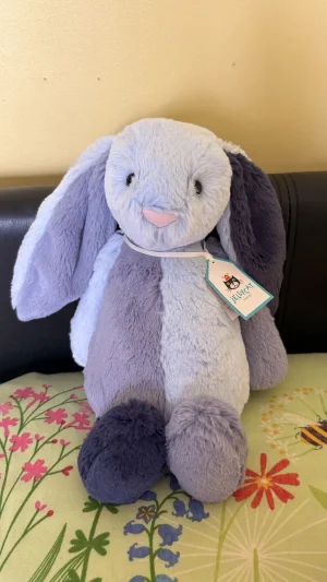 Puddlesea Bunny Jellycat | Jelly Journal