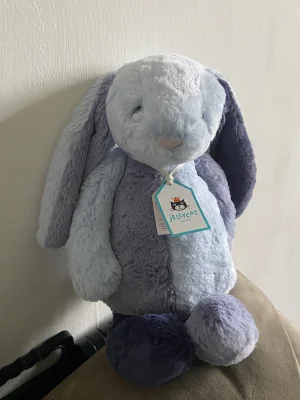 Puddlesea Bunny Jellycat | Jelly Journal