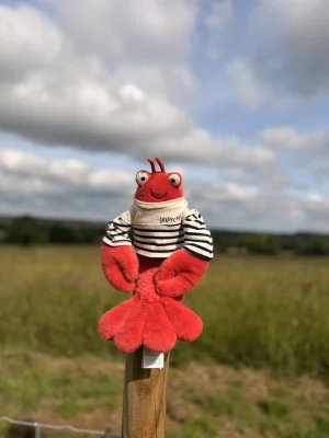 Larry Lobster Sailor Outfit Jellycat photo