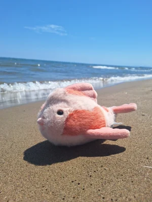 Fancy Carp Jellycat photo