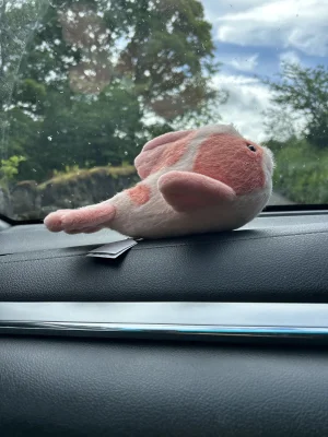 Fancy Carp Jellycat photo