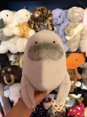 A photo of Roarwell Sea Lion Jellycat taken by katsjellies