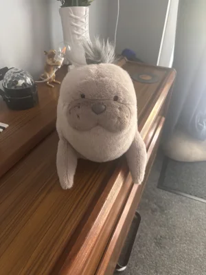 Roarwell Sea Lion Jellycat photo