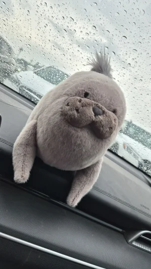 Front photo of Roarwell Sea Lion uploaded by savvyrae