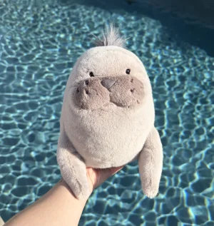A photo of Roarwell Sea Lion Jellycat taken by AmberrGolden