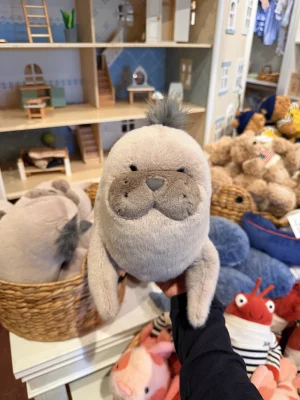 Roarwell Sea Lion Jellycat | Jelly Journal