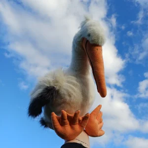 Keli Pelican Jellycat photo
