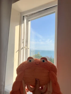Pinchsnap Crab Jellycat photo