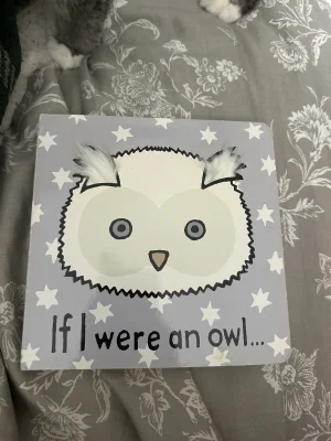 A photo of If I were an Owl… Jellycat taken by averyd2003