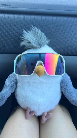 Chip Seagull Jellycat photo