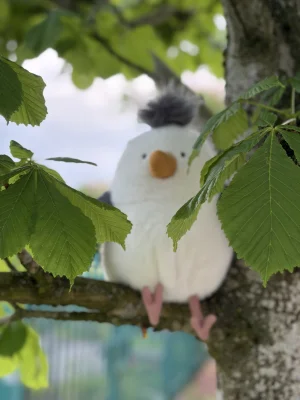 Lifestyle photo of Chip Seagull uploaded by Jellycatking