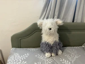 Ewert Sheepdog Jellycat | Jelly Journal