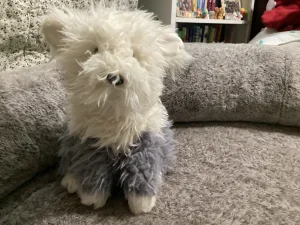 Ewert Sheepdog Jellycat photo