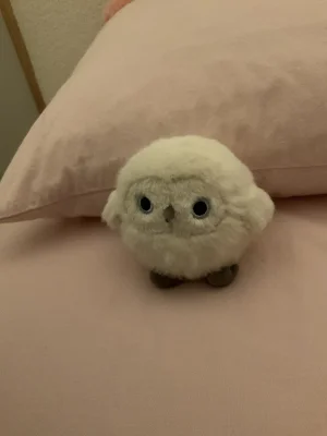 A photo of Snowy Owling Jellycat taken by salizaf