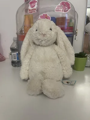 Bashful Cream Bunny - Medium Jellycat | Jelly Journal