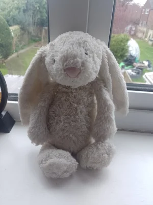 Bashful Cream Bunny - Medium Jellycat | Jelly Journal