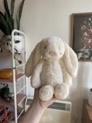 Bashful Cream Bunny - Medium Jellycat | Jelly Journal