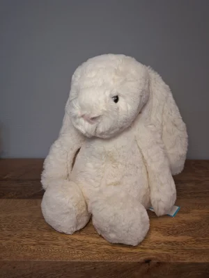 Bashful Cream Bunny - Medium Jellycat | Jelly Journal