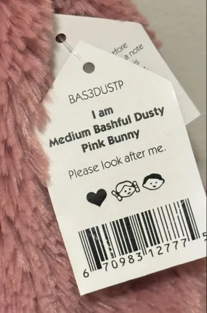 A photo of Bashful Dusty Pink Bunny - Medium Jellycat taken by TishWish