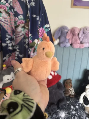 Fluffy Chicken Jellycat photo uploaded by Slanelivhill