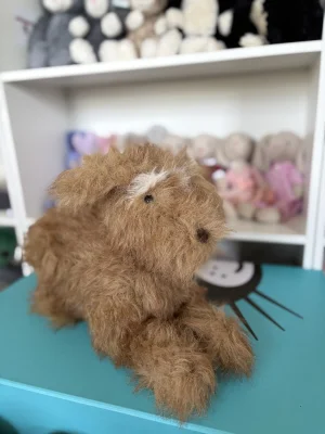Scruffles Rescue Dog Jellycat photo