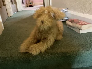 Scruffles Rescue Dog Jellycat photo