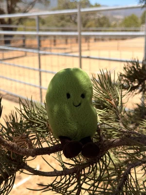Amuseables Soyella Edamame Bean Jellycat photo
