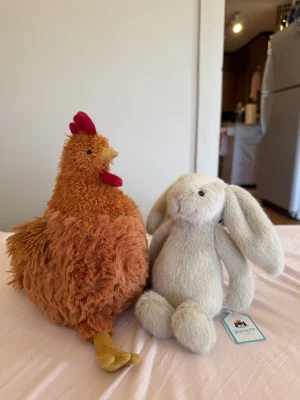 Cecile Chicken Jellycat | Jelly Journal