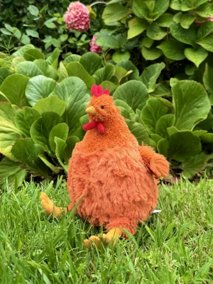 A photo of Cecile Chicken Jellycat taken by jellycatangel