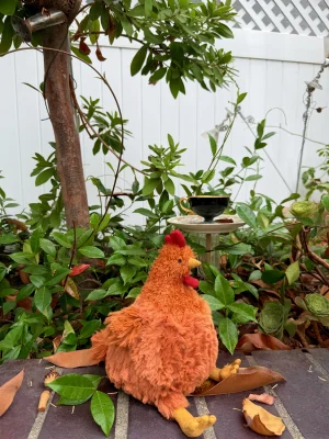 A photo of Cecile Chicken Jellycat taken by jellycatangel