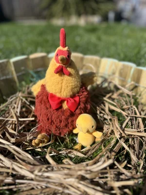 A photo of Cecile Chicken Jellycat taken by Lollysjellycats