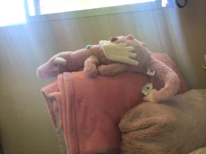 Duskrise Dragon Jellycat photo