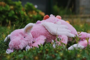 Photo by Vivi68